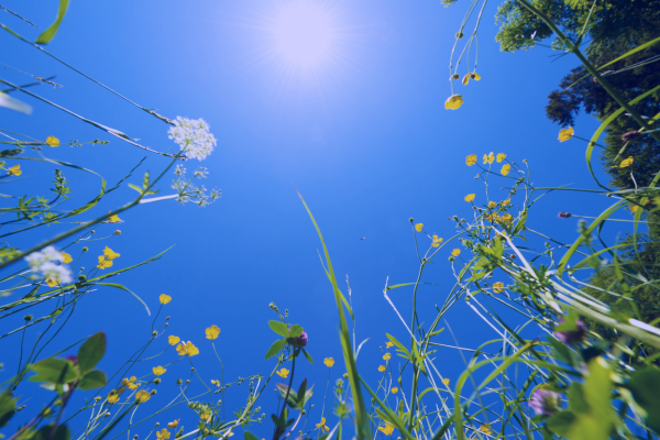 Blog Featured Image - Slow Summer Months