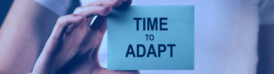 Why Adaptability Is An Essential Business Strategy